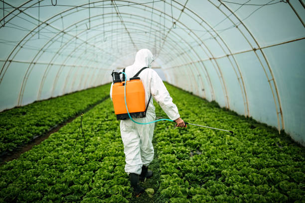 Best Pest Control Treatment  in Port Reading, NJ
