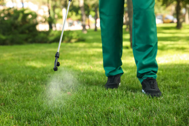 Best Bird Control  in Port Reading, NJ