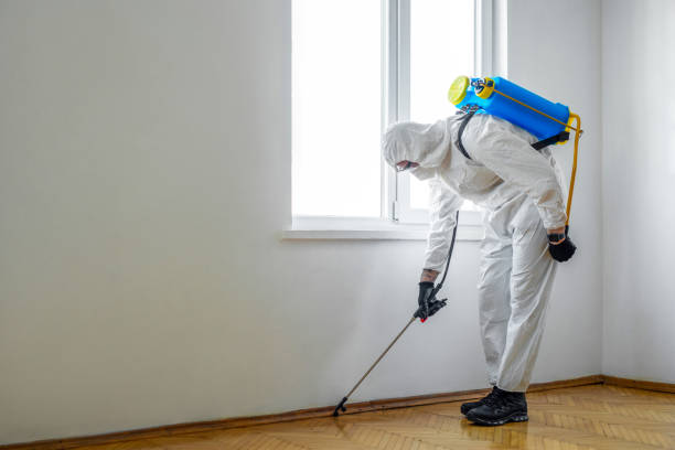 Flea Control Services in Port Reading, NJ