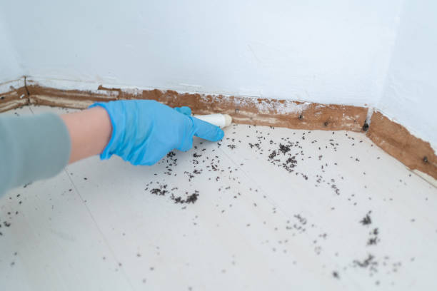 Best Residential Pest Control  in Port Reading, NJ