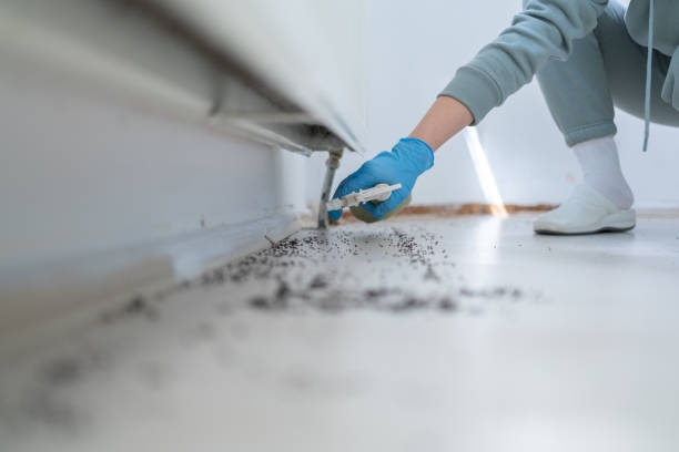 Best Best Pest Control Companies  in Port Reading, NJ